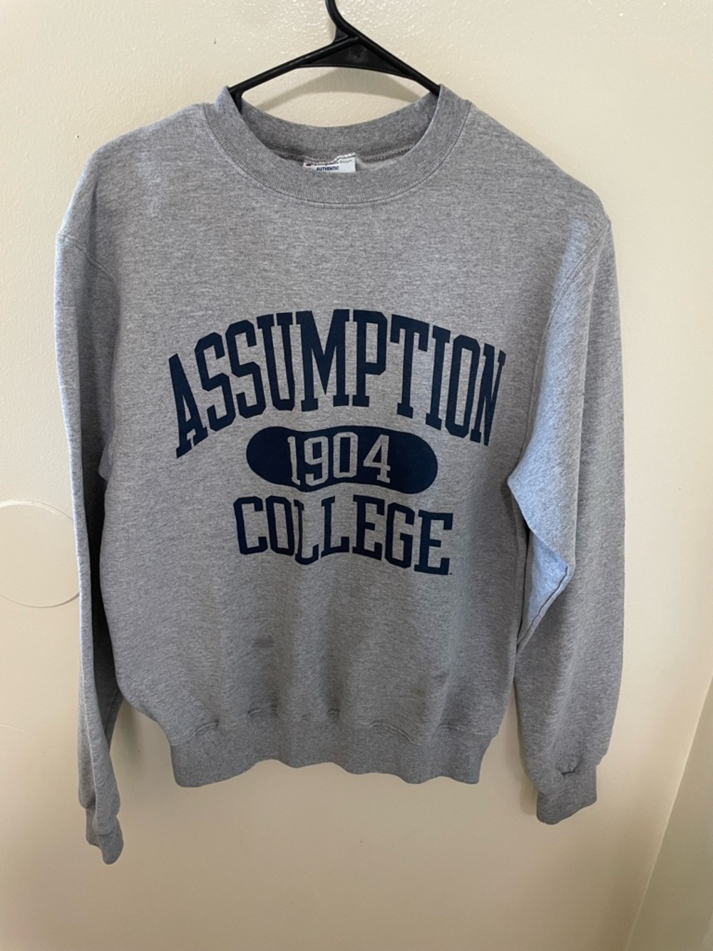 ✨Champion SweatShirt Size Small - Picture 1 of 5